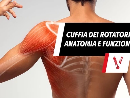 Immagine dell'articolo